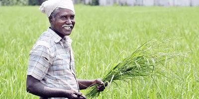 A Farmer বিষয়ক Paragraph Writing লিখন, ২য় পর্ব, এসএসসি ইংরেজি ২য় পত্র